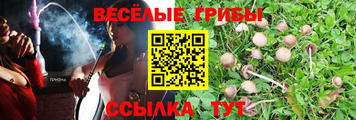 Галлюциногенные грибы Magic Shrooms  Вход с VPN  Клинцы 