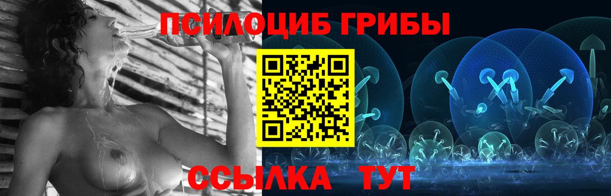 Псилоцибиновые грибы Psilocybine cubensis Клинцы